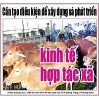 Hợp tác xã có phải là một loại hình doanh nghiệp? Thủ tục đăng ký thành lập mới Hợp tác xã?