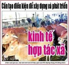 Hợp tác xã có phải là một loại hình doanh nghiệp? Thủ tục đăng ký thành lập mới Hợp tác xã?