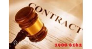 Mẫu hợp đồng sử dụng tác phẩm trong lĩnh vực biểu diễn