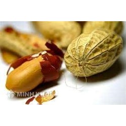 Mẫu hợp đồng nhập khẩu lạc nhân bằng tiếng việt và tiếng anh