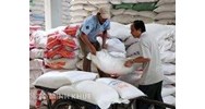Mẫu hợp đồng xuất khẩu gạo bằng tiếng anh và tiếng việt