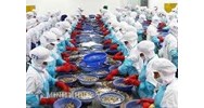 Mẫu hợp đồng xuất khẩu thủy sản bằng tiếng anh và tiếng việt