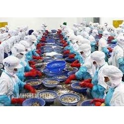 Mẫu hợp đồng xuất khẩu thủy sản bằng tiếng anh và tiếng việt