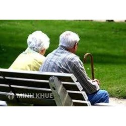 Xác định chế độ hưu trí và mức lương hưu?