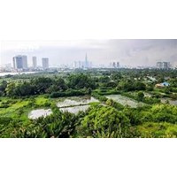 Người được hưởng án treo mà vi phạm pháp luật thì bị xử lý thế nào?