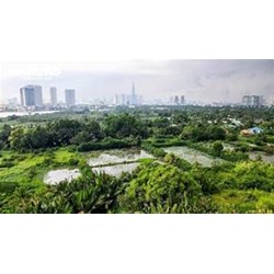 Người được hưởng án treo mà vi phạm pháp luật thì bị xử lý thế nào?