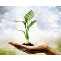 Certificate for environmental observation service validates in 3 years