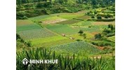 Điều kiện, thủ tục đăng ký tách thửa đối với đất nông nghiệp?