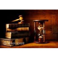 Một người có thể làm tổng giám đốc của hai công ty TNHH không?