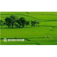 Được đứng tên bao nhiêu người trên " sổ đỏ" theo quy định mới?
