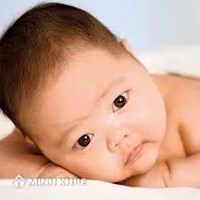 Mẫu tờ khai hoàn cảnh gia đình của người nhận con nuôi ? Quyền chấm dứt việc nuôi con nuôi ?