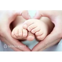 Mẫu giấy chứng nhận nuôi con nuôi và Mẫu danh sách trẻ em được nhận mới nhất