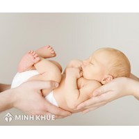 Mẫu biên bản giao nhận con nuôi mới nhất ? Thủ tục làm con nuôi cho người nước ngoài ?