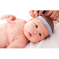 Mẫu đơn xin nhận con nuôi trong nước ? Mẫu đơn xin trẻ em Việt Nam làm con nuôi ?