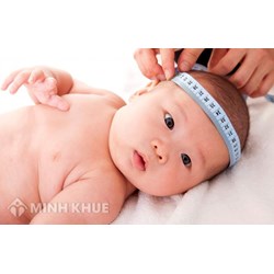 Mẫu đơn xin nhận con nuôi trong nước ? Mẫu đơn xin trẻ em Việt Nam làm con nuôi ?