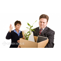 Mẫu quyết định bổ niệm hòa giải viên lao động