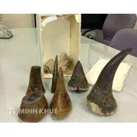 Tội vận chuyển trái phép hàng hoá, tiền tệ qua biên giới