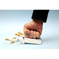 03 conditions for smoking cessation establishments