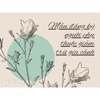 Mẫu đăng ký người phụ thuộc giảm trừ gia cảnh và cách điền