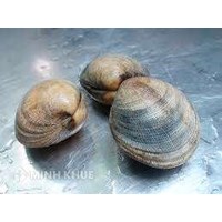 Thủ tục mở chi nhánh tại Việt Nam kinh doanh hải sản nhập khẩu?