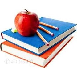 Công ty cổ phần công nghệ và trí tuệ cộng đồng Việt Nam (Vincee)