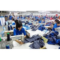 Thời gian nghỉ sinh có được tính vào thời gian nghỉ phép năm không?