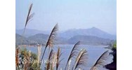 Tư vấn thủ tục khiếu nại đòi lại đất bị chiếm dụng trái phép?