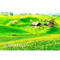 Vai trò của chính sách đất đai đối với việc phát triển kinh tế, xã hội ?