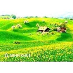 Vai trò của chính sách đất đai đối với việc phát triển kinh tế, xã hội ?