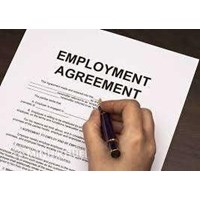 Tư vấn sử dụng lao động thời vụ hợp pháp theo luật lao động?