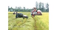 Chính sách hạn điền là gì? Quy định hạn điền theo luật đất đai?