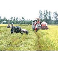 Chính sách hạn điền là gì? Quy định hạn điền theo luật đất đai?