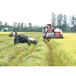 Chính sách hạn điền là gì? Quy định hạn điền theo luật đất đai?