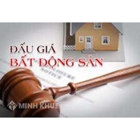 Tư vấn thành lập công ty đấu giá tài sản