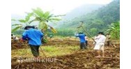Mức bồi thường thu hồi đất khai hoang theo quy định mới nhất?