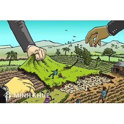 Chuyển đổi loại hình công ty thì việc sử dụng đất thực hiện như thế nào?