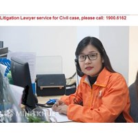 Litigation lawyer in civil cases - Processes to carry out the professional service