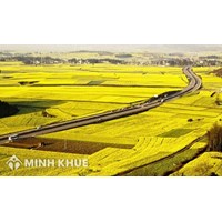 Thủ tục cấp sổ đỏ cho đất nông nghiệp ? Thời hạn sử dụng đất nông nghiệp ?