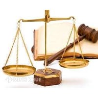 Giải quyết trường hợp người dân lấn chiếm đất như thế nào?