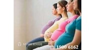 Tư vấn thủ tục điều chuyển lao động sau nghỉ sinh?