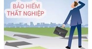 Các chế độ bảo hiểm thất nghiệp gồm những gì? Nguyên tắc bảo hiểm thất nghiệp theo quy định mới nhất