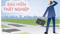 Các chế độ bảo hiểm thất nghiệp gồm những gì? Nguyên tắc bảo hiểm thất nghiệp theo quy định mới nhất
