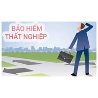 Các chế độ bảo hiểm thất nghiệp gồm những gì? Nguyên tắc bảo hiểm thất nghiệp theo quy định mới nhất