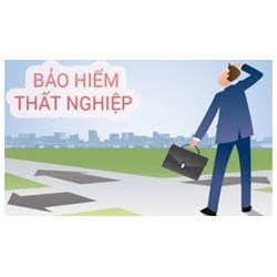 Các chế độ bảo hiểm thất nghiệp gồm những gì? Nguyên tắc bảo hiểm thất nghiệp theo quy định mới nhất