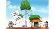 Cách xử lý trường hợp cây cối gây cản trở lối đi qua nhà hàng xóm?