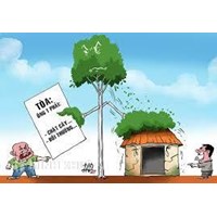 Cách xử lý trường hợp cây cối gây cản trở lối đi qua nhà hàng xóm?