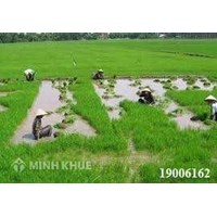Tư vấn về chuyển nhượng đất ruộng?