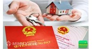 Mẫu phụ lục hợp đồng chuyển nhượng quyền sử dụng đất