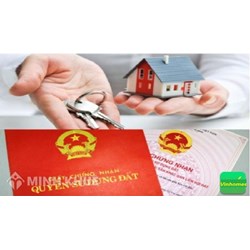Mẫu phụ lục hợp đồng chuyển nhượng quyền sử dụng đất