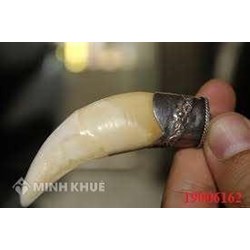 Tư vấn đòi lại tiền cọc mua Nanh Hổ ?